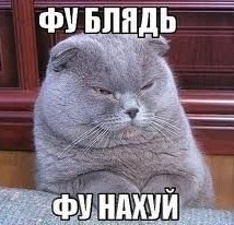 Кто сейчас в Ехипте?