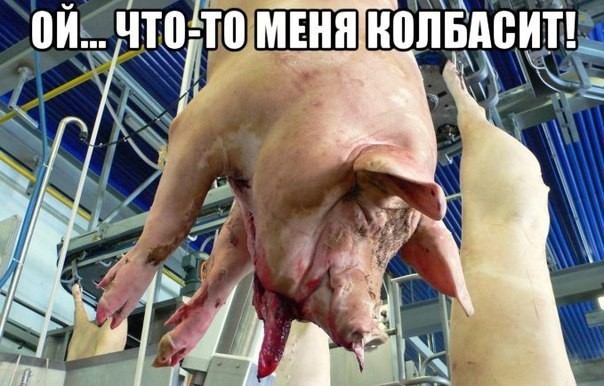 Дичь. Просто дичь
