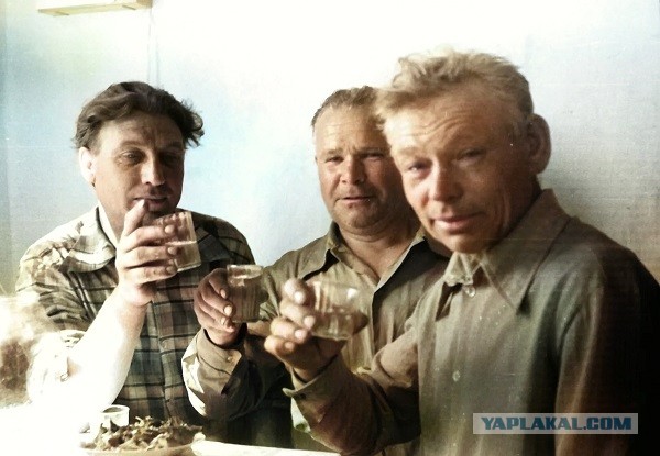 Заказ