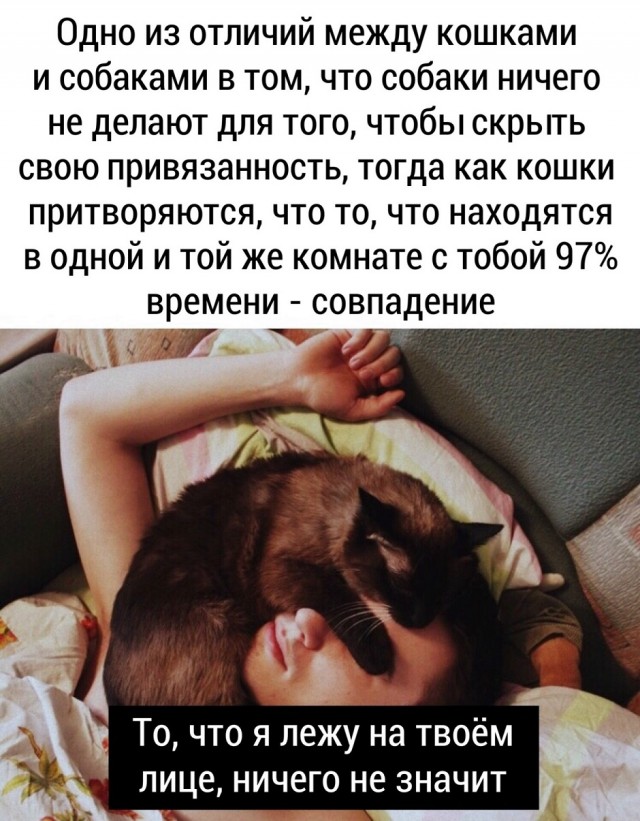 Картинки для деградации 68 (разной степени свежести)