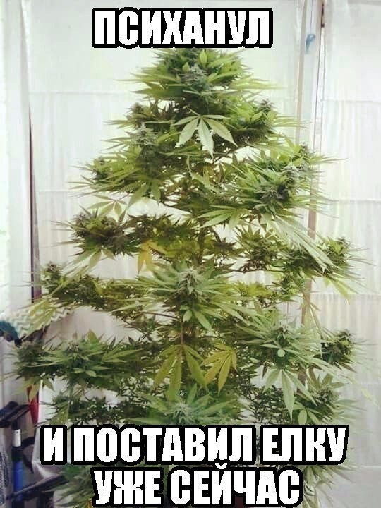 И теперь действительно к важным вопросам!