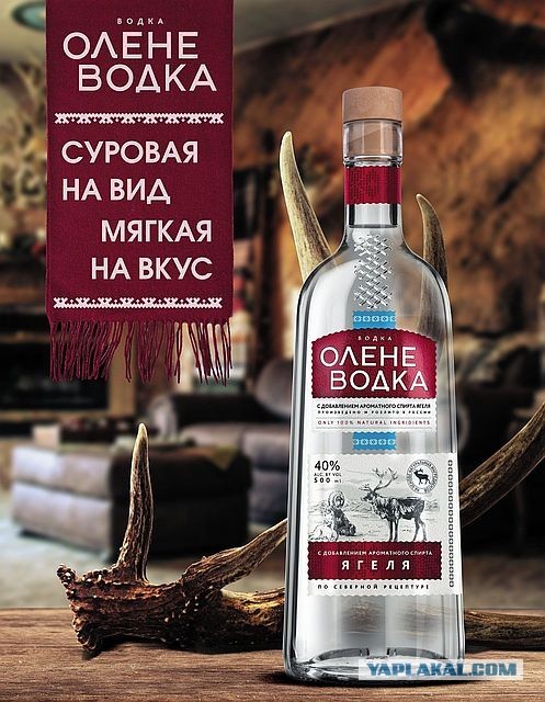 Фото настораживает… Новость внутри