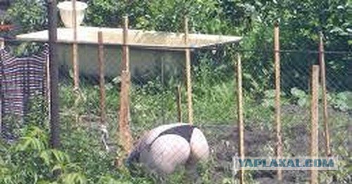 Лето скоро