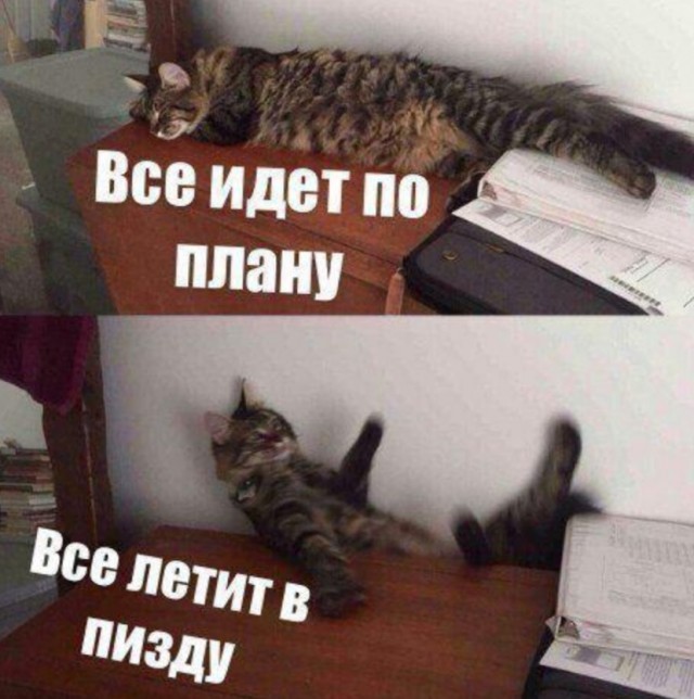 К котовторнику: подборка картинок-баянов с котиками и про котиков. Выпуск 35.