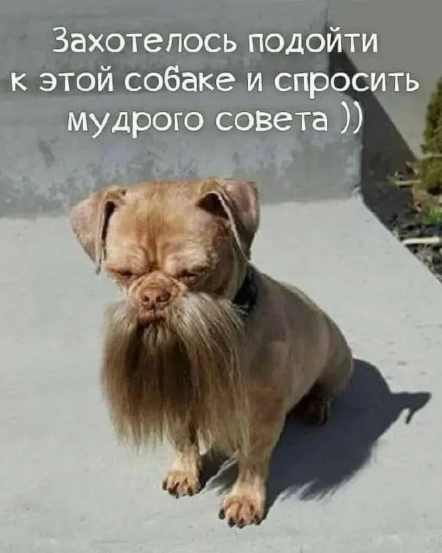Картинки для деградации 180 (разной степени свежести)