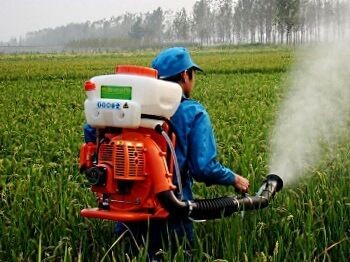 СПАРТАК чемпион.