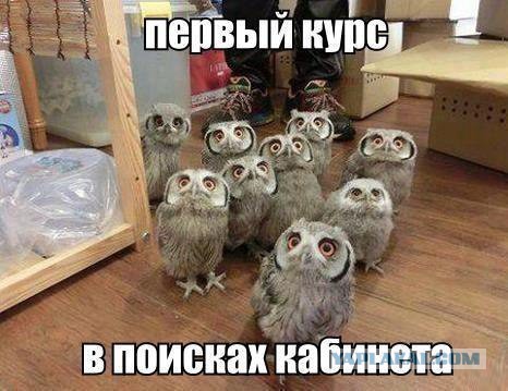 Не верь интернету =)))