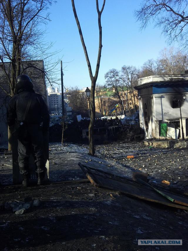 "Георгиевские " ленточки против флагов УПА