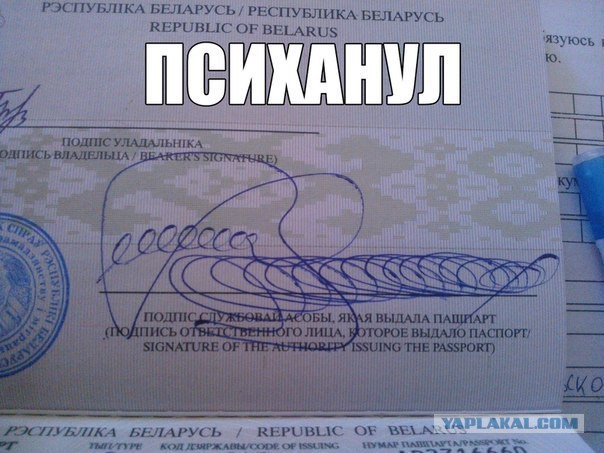 Просто несколько непонятных фотографий