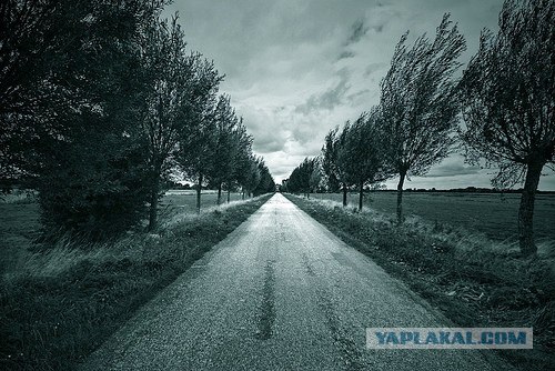 Мне нравится природа