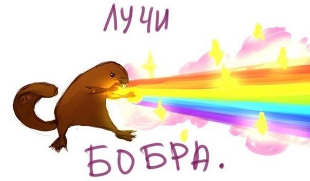 Когда вы плюсуeтe тему в платине