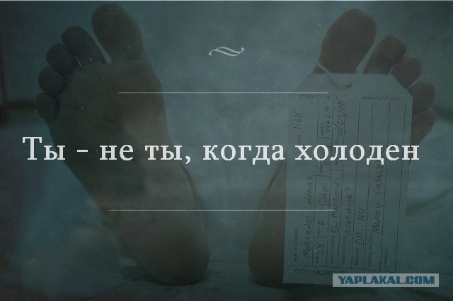 Юмор паталогоанатомов