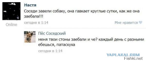 Комменты из соцсетей