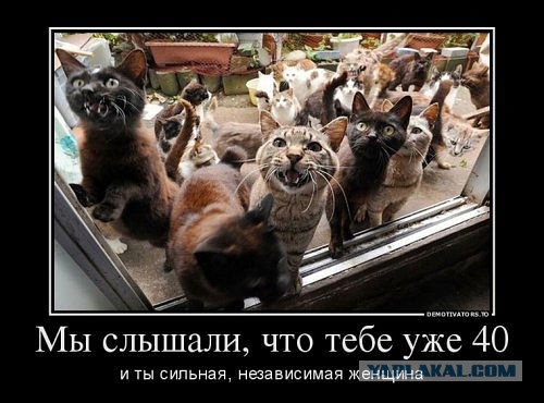 Демотиваторов пост, добавляйте свои