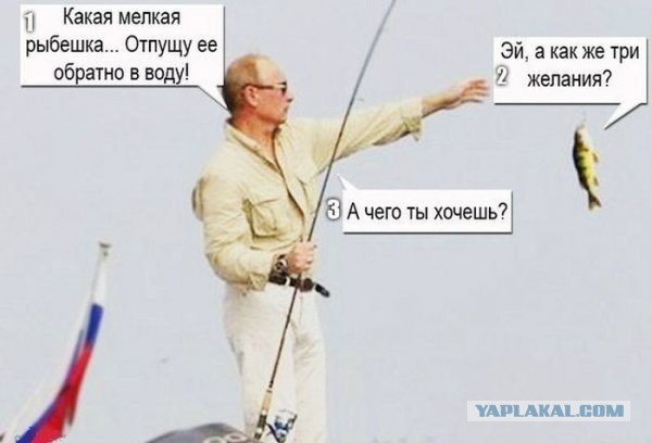 Демотиваторы.