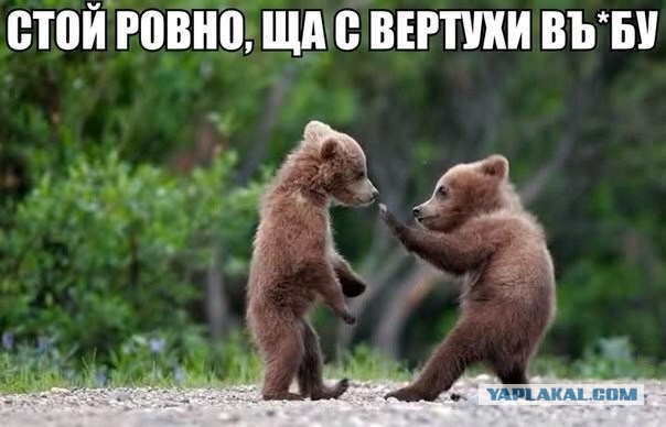 Смотрим в окно