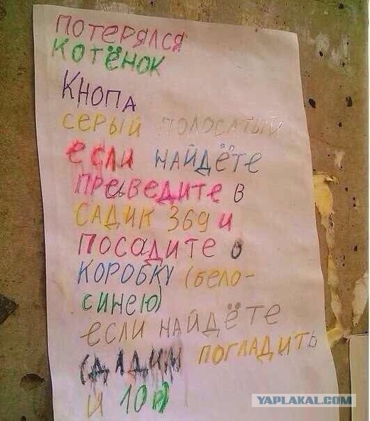 Картинки с инета.