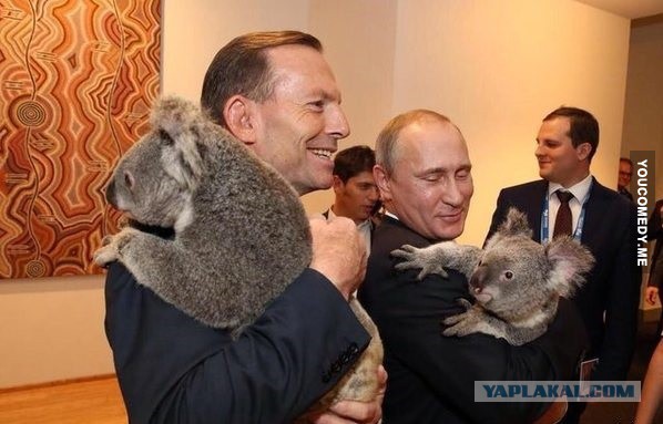 Путин всё же покинул досрочно G20