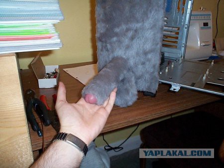 Веселые картинки