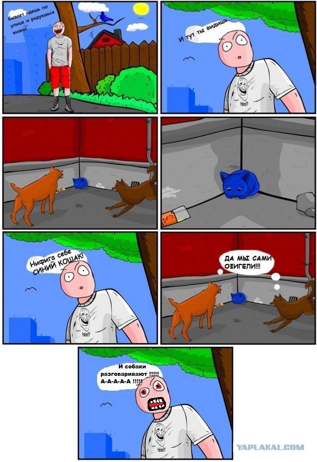 Любителям котэ, цобакенов и рожэ