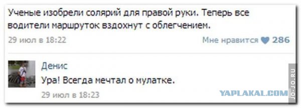 Смешные комментарии из социальных сетей