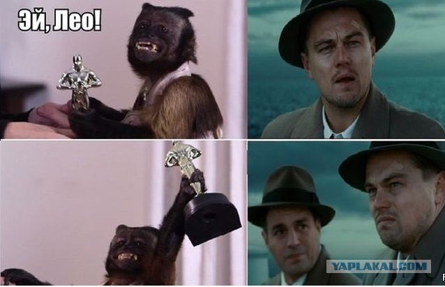 Демотиваторы вторника