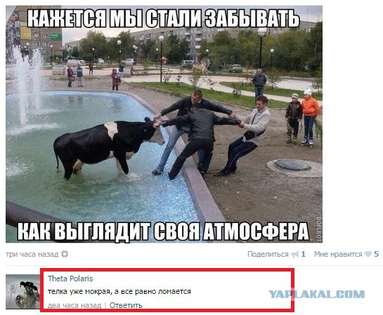 Смешные комментарии из социальных сетей