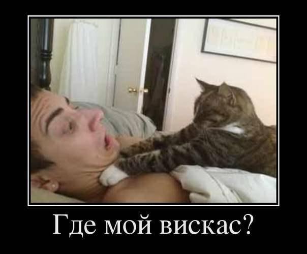 Картинки из инета
