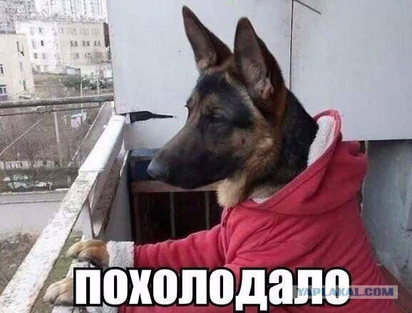 Картинки разные
