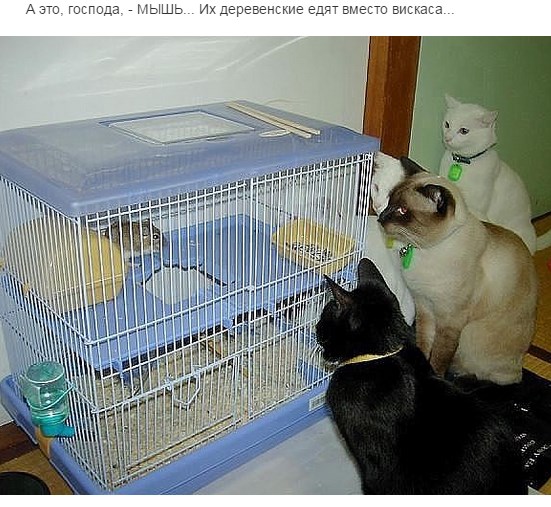 Убрались..