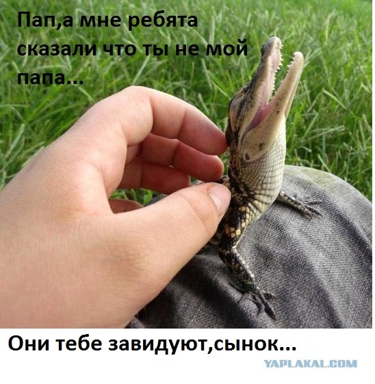Папа - крокодил