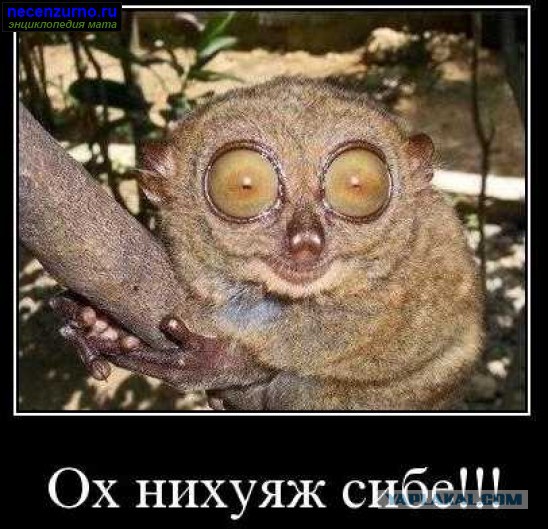 Игрушки, которые я никогда не куплю своим детям