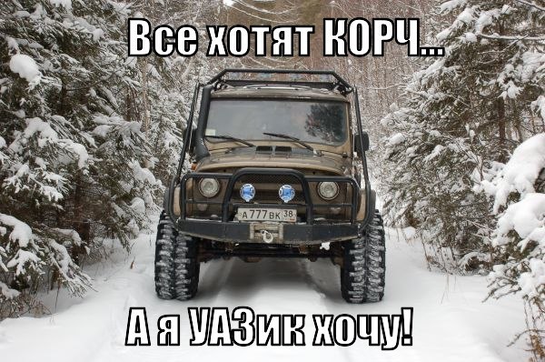 Приколы из сети