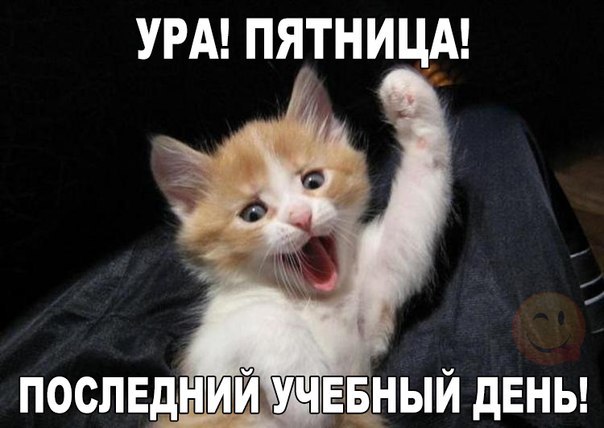Последние дни каникул картинки прикольные, для