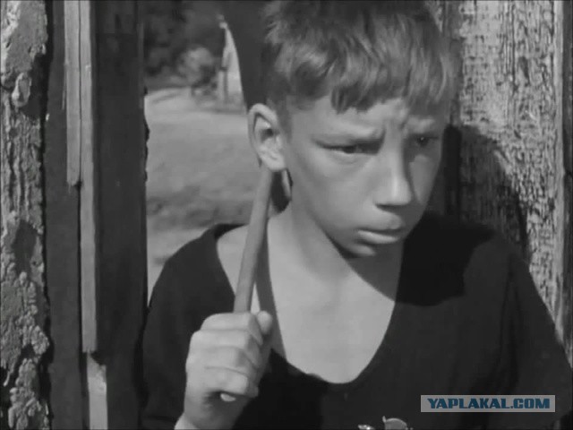 Пытались разминировать сву