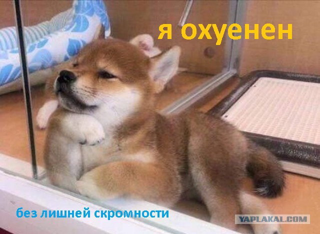Подборка интересных и веселых фото