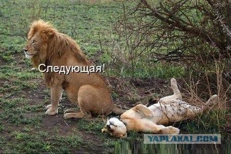 Картинки из сети (07.04.16)