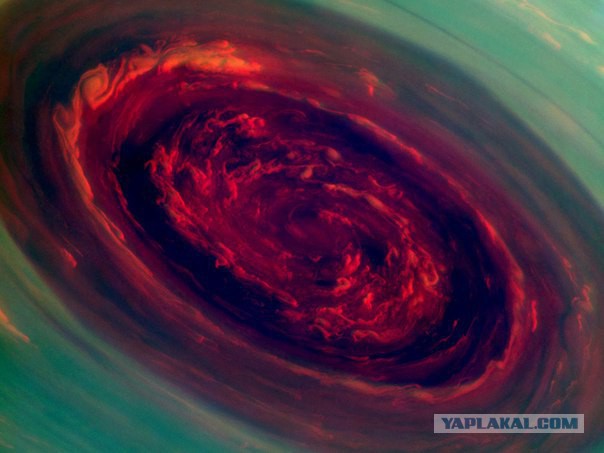 Моменты, запечатлённые на фото и просто позитив 4