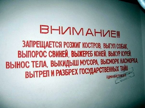 Случайные картинки