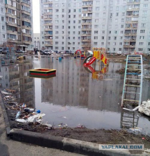 Подборка интересных и прикольных картинок