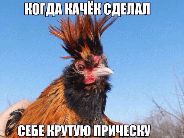 Картинки на пятницу