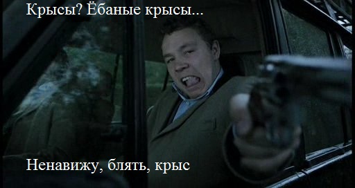 Ликвидация крыс на ферме