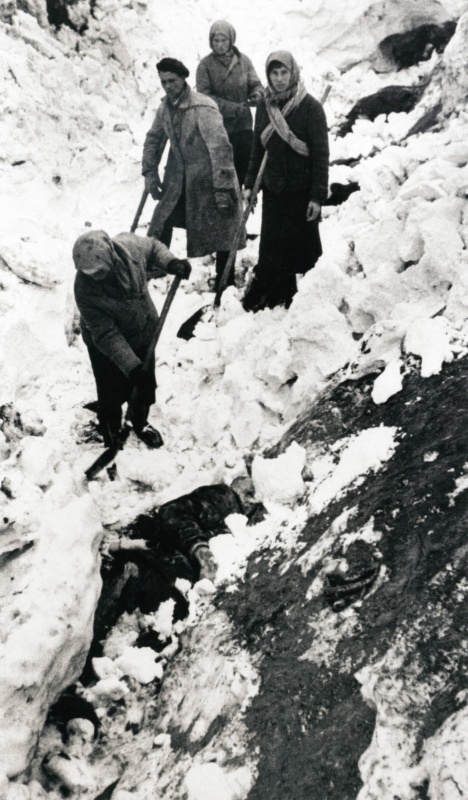 Волховский фронт. 1942. Взгляд с той стороны.