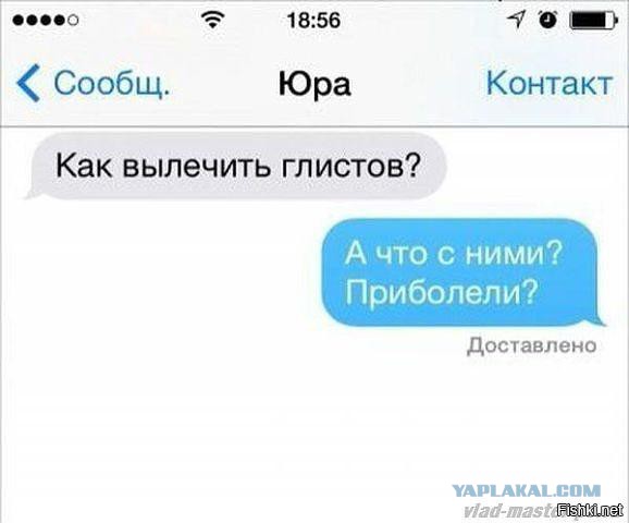 Прикольные и веселые картинки