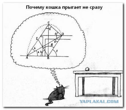 Завораживающее падение кирпичей