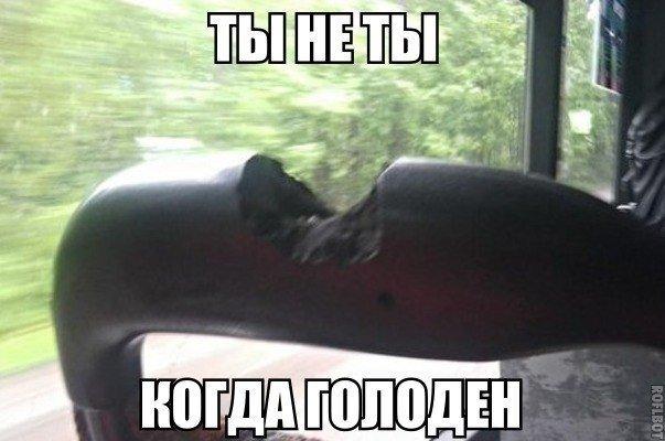 Подборка безудержного веселья