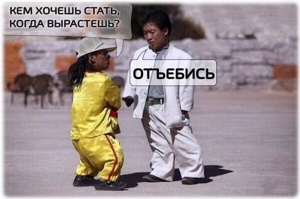Веселые картинки, в которых происходит насилие над здравым смыслом