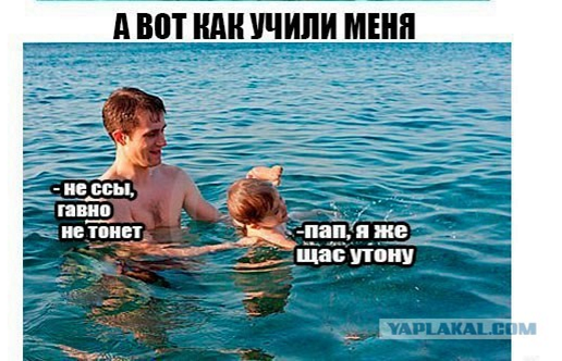 Картинки прикольные 25шт