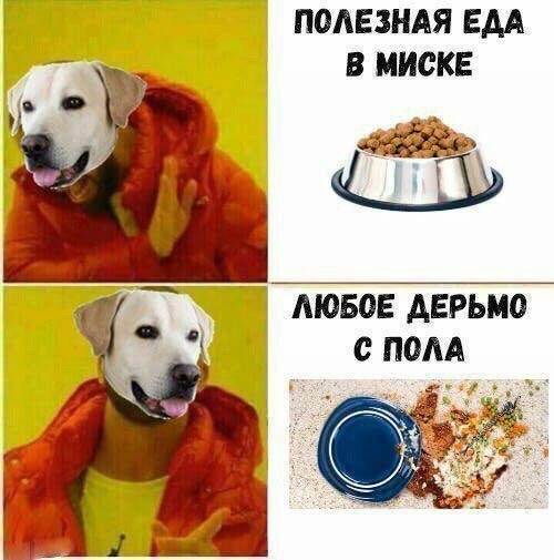 Нестандартный юмор