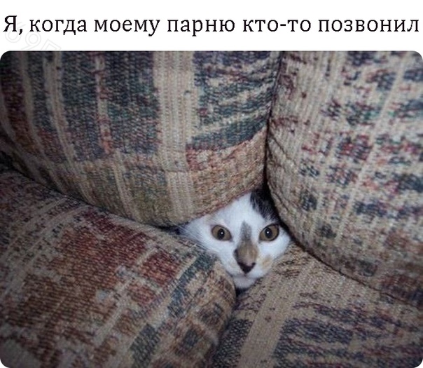 Субботняя вакханалия с большой дозой идиотизма